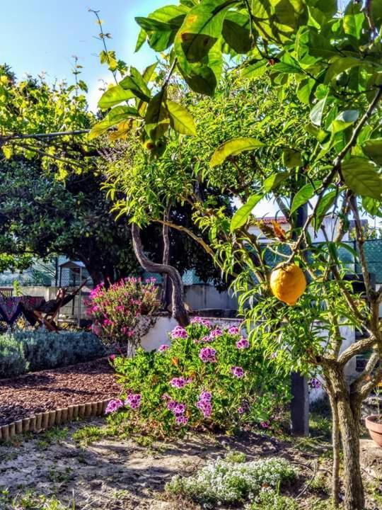 Páteo da Memória Casa do Pintor Vila Quinta do Anjo Exterior foto