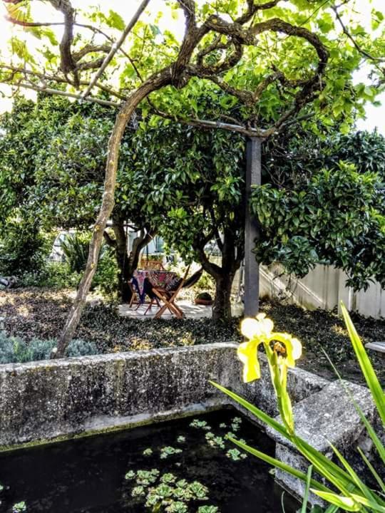 Páteo da Memória Casa do Pintor Vila Quinta do Anjo Exterior foto